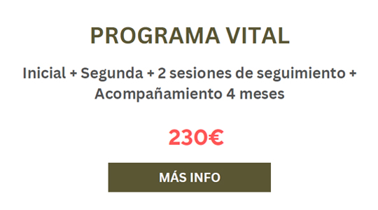 Programa vital